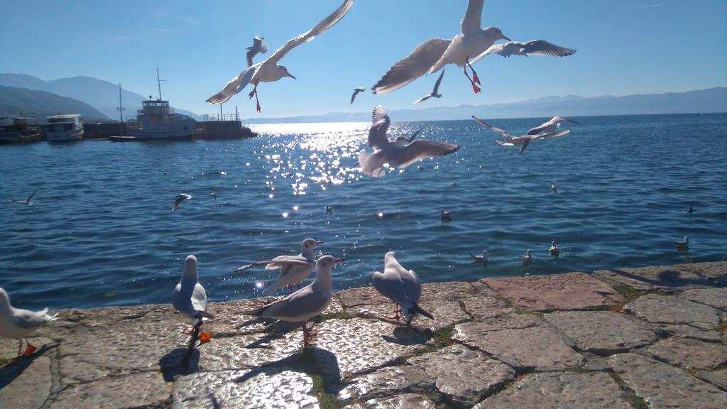 'By The Lake' Apartments Ohrid Bagian luar foto